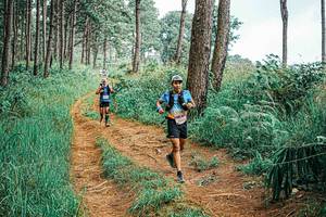 BIB: 
                            <button type="button" onclick="openModal(25658693)" class="btn btn-primary btn-sm float-right btn-popup" data-toggle="modal" data-target=".modal-high-quality">
                        <i class="fas fa-shopping-cart"></i> Add to Cart
                    </button>
                                            <button type="button" onclick="isThisMe(25658693, true)" class="btn btn-success btn-sm float-right btn-popup btn-isme hidden" data-toggle="tooltip" data-placement="bottom" title="นี่คือรูปของคุณใช่ไหม คลิกที่นี่เพื่อเอาเข้าอัลบั้ม">
                        <i class="fas fa-plus"></i> Add to album
                    </button>
                    <button type="button" onclick="isThisMe(25658693, false)" class="btn btn-warning btn-sm float-right btn-popup btn-isnotme hidden">
                        <i class="fas fa-ban"></i> Remove from album
                    </button>